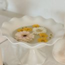 스튜디오노네임 이미지