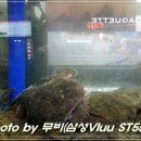 아구아구아구찜 이미지