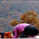 108배 절 운동의 효과~~~(정말 좋습니다) 이미지