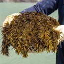 불로초등학교 이미지