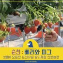 신상농장 2 네이버블로그