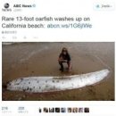 마코르(주) 이미지