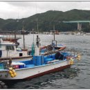 공현진항(활어회센터) 이미지