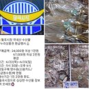 야채청과25