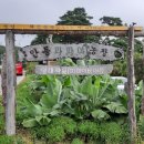 서주길(와룡면) 이미지