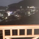 외도펠리스 이미지