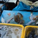 뚱이초장 이미지