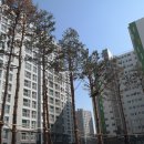 미사루나공인중개사사무소 이미지