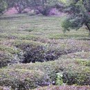 산마을민박 이미지