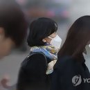 토속삼계탕 - 동구 | 토속삼계탕