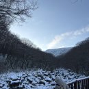 서호동-15 | 한라산 윗세오름 주차 시간 통제 예약 여부 / 어리목 코스 후기