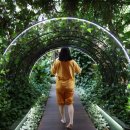 다도해헬스 이미지