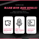 보이스티칭