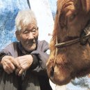 워낭소리 이미지