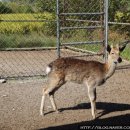 광덕목장 이미지