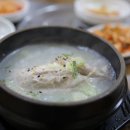 남해복어 이미지