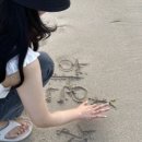 해찬목장 이미지