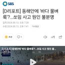 해파리, 물벌레에 물렸을때도 규소 이미지