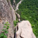 장군봉 농장 이미지