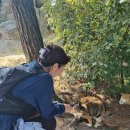 용봉산 주차장 | &#39;고양이산&#39; 용봉산 최단코스 가을산행 후기 #주차장 #등산코스