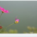 승구농장 이미지