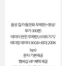 진짜 오랜만에 해외가는데 로밍 방법 이미지