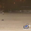 용호운동장 이미지