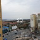 송정동-5 이미지