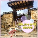 동춘당공원 맞은편 | [대전 대덕구] 봄에 가볼만한곳 매화 산수유 명소 동춘당 공원 강아지 산책 장소