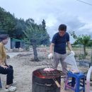 분지농장 이미지