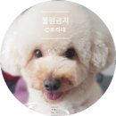 세신샵 봄날 이미지