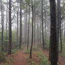 공주생명과학고 제2농장 이미지