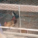 안산문화원 이미지