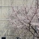 신장근린공원3 이미지