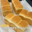 코너스톤엘상대1학원 | 부산제과제빵학원 자격증 두 개 동시에 준비한 직장인 취득 후기