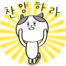 리틀파파포경희궁점