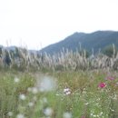 동호유적근린공원 이미지