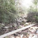 평사농장 이미지