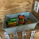 곤충박물관 1층 | 영암곤충박물관 광주근교 아이랑 갈만한곳 후기