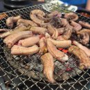 홍가숯불신꼼장어 이미지