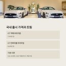 저단33 | 포드 머스탱 GT 5.0 : 마지막 V8 자연흡기의 진짜 가치