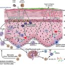 김성원한의원 이미지