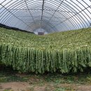 광림농원 이미지