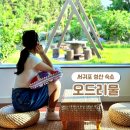 서귀포 성산 가족여행 숙소 오드리물 제주독채펜션