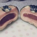 윤희농장 이미지