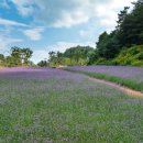 병방산군립공원 이미지