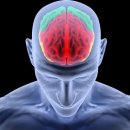 인지심리학 이미지