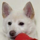 IAM뽑기에요 이미지