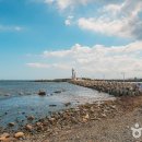 방어진활어센터 이미지