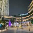 아울리버 이미지